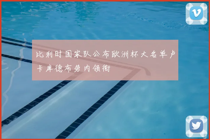 比利时国家队公布欧洲杯大名单卢卡库德布劳内领衔