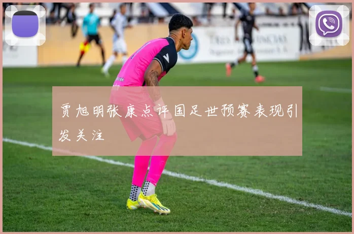 贾旭明张康点评国足世预赛表现引发关注