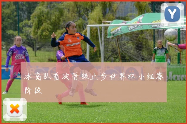 冰岛队首次晋级止步世界杯小组赛阶段