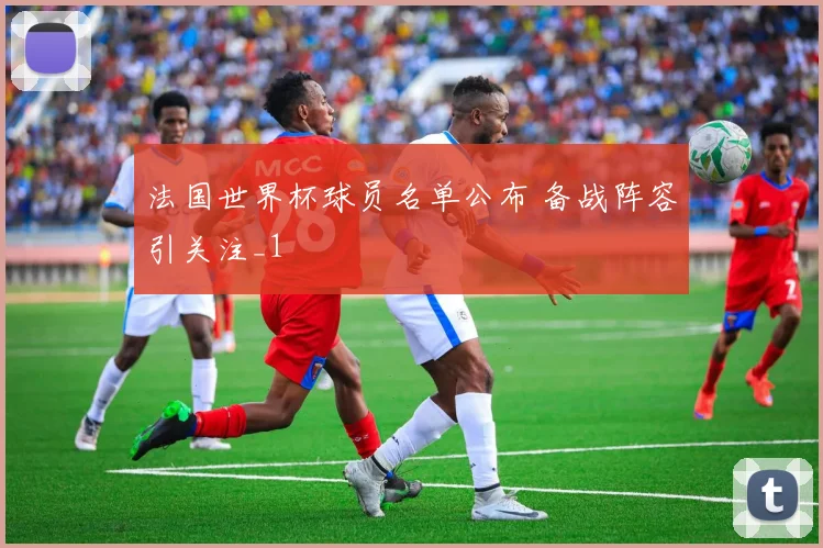 法国世界杯球员名单公布 备战阵容引关注_1