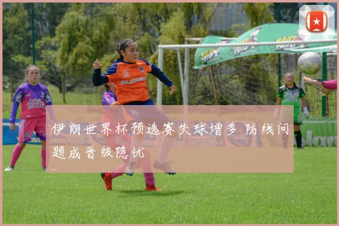 伊朗世界杯预选赛失球增多 防线问题成晋级隐忧